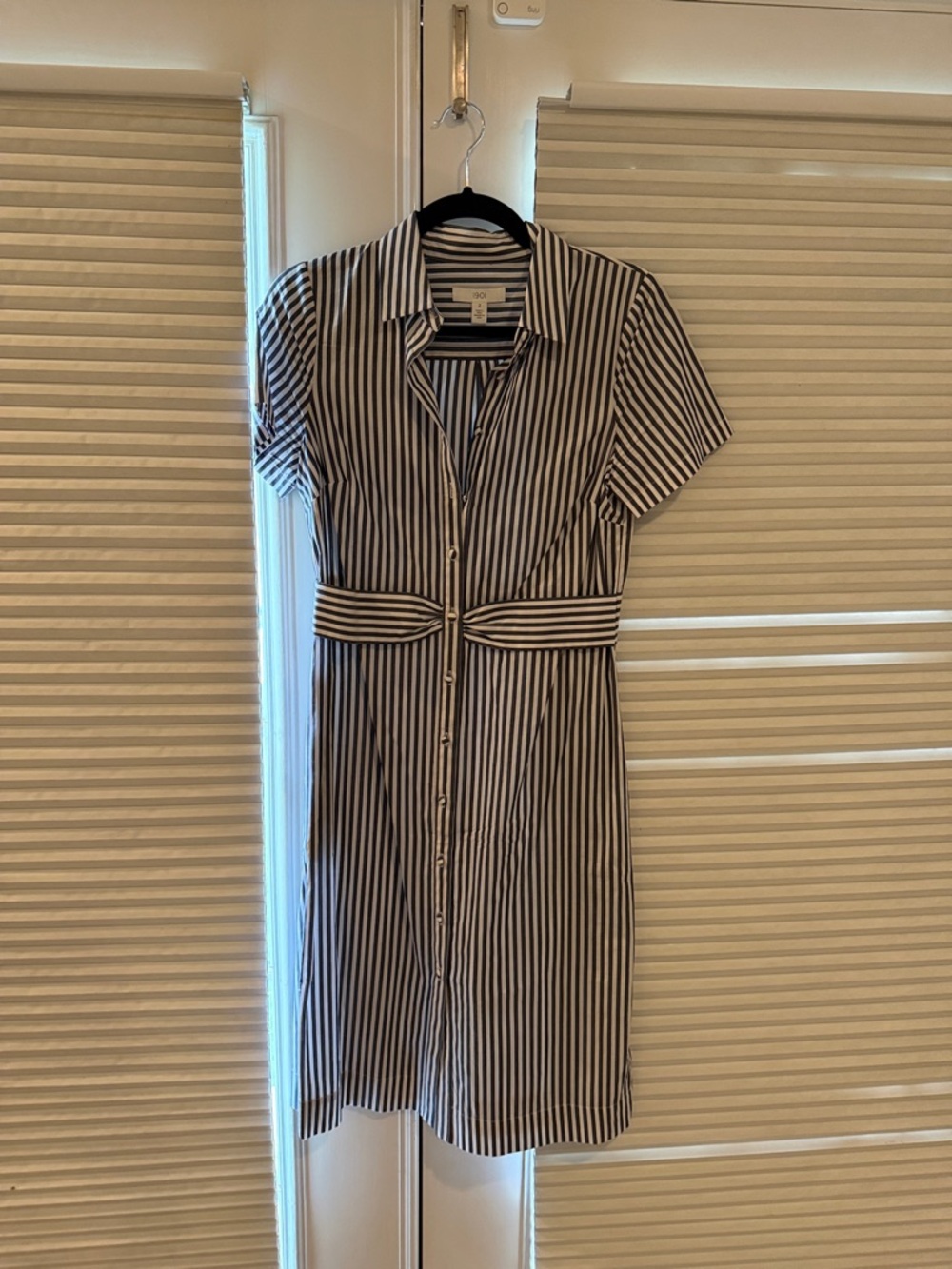 Button-Front Striped Shirt Dress in Blue and White
